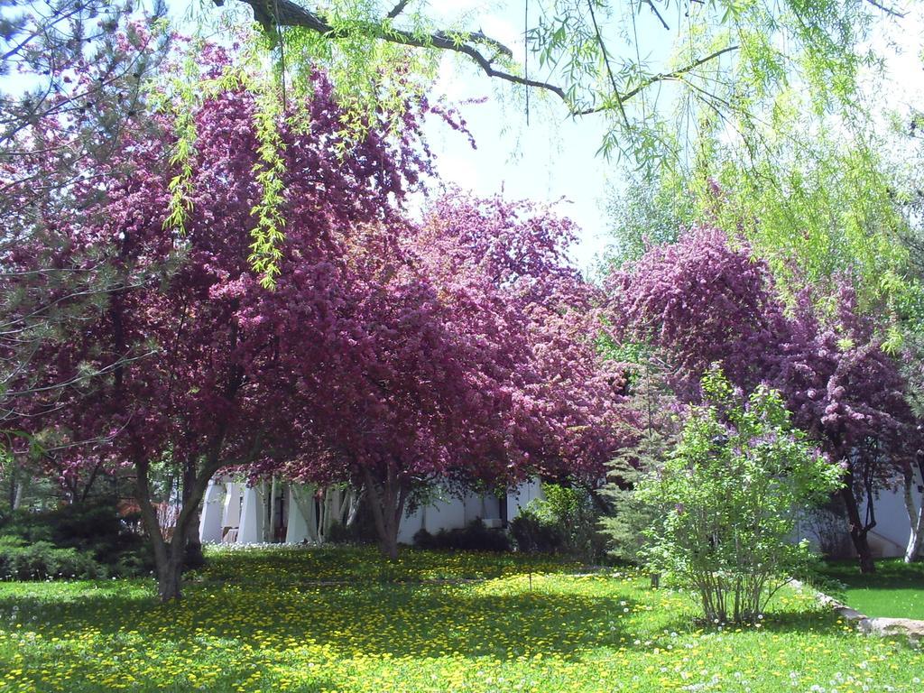 Agacli Hotel Aksaray Exteriér fotografie